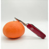 Нож-брелок Victorinox Classic SD Alox Colors, красный (0.6221.201G)